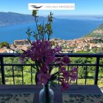 Blick vom Wintergarten