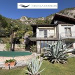 Haus mit Pool