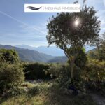 Garten mit Bergblick
